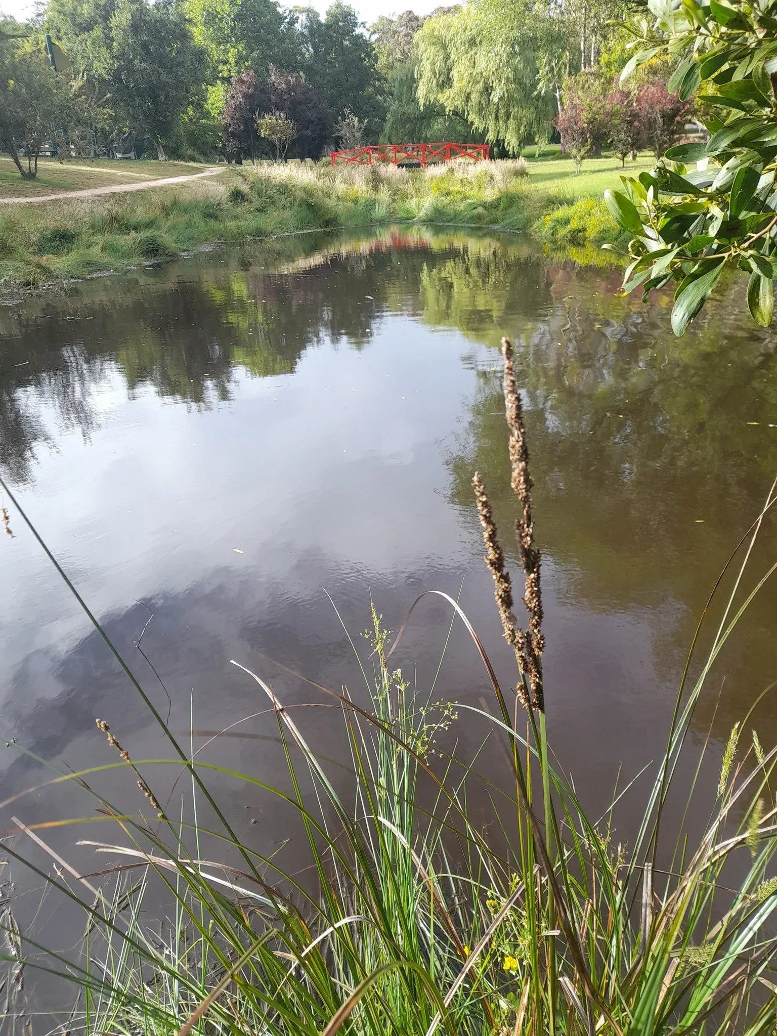 Lake with red bridge