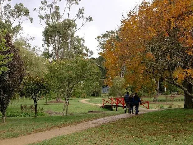 Walking path by lake