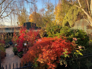 Springhill Nursery in Trentham, Victoria