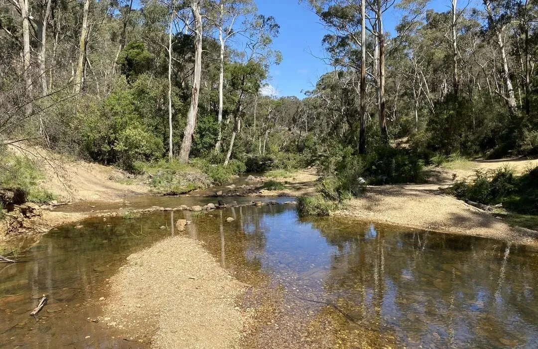 The Wombat State Forest and Lerderderg State Park in Trentham, Victoria